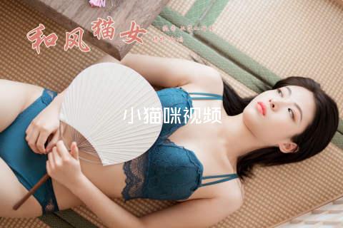 小猫咪视频